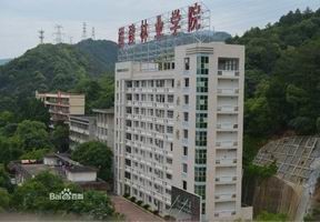 福建林业职业技术学院,分数线,专业设置_新浪